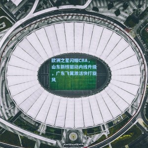 爱游戏体育|欧洲之星闪耀CBA，山东新核驱动内线升级，广东飞翼激活快打旋风