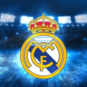 爱游戏入口：从绿茵场到网笼场，罗本笼式网球首秀告捷，跨界风采不减当年