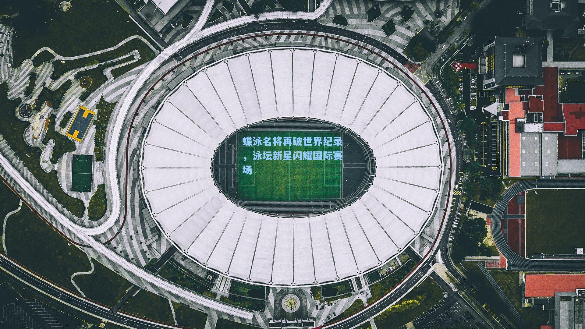 蝶泳名将再破世界纪录，泳坛新星闪耀国际赛场
