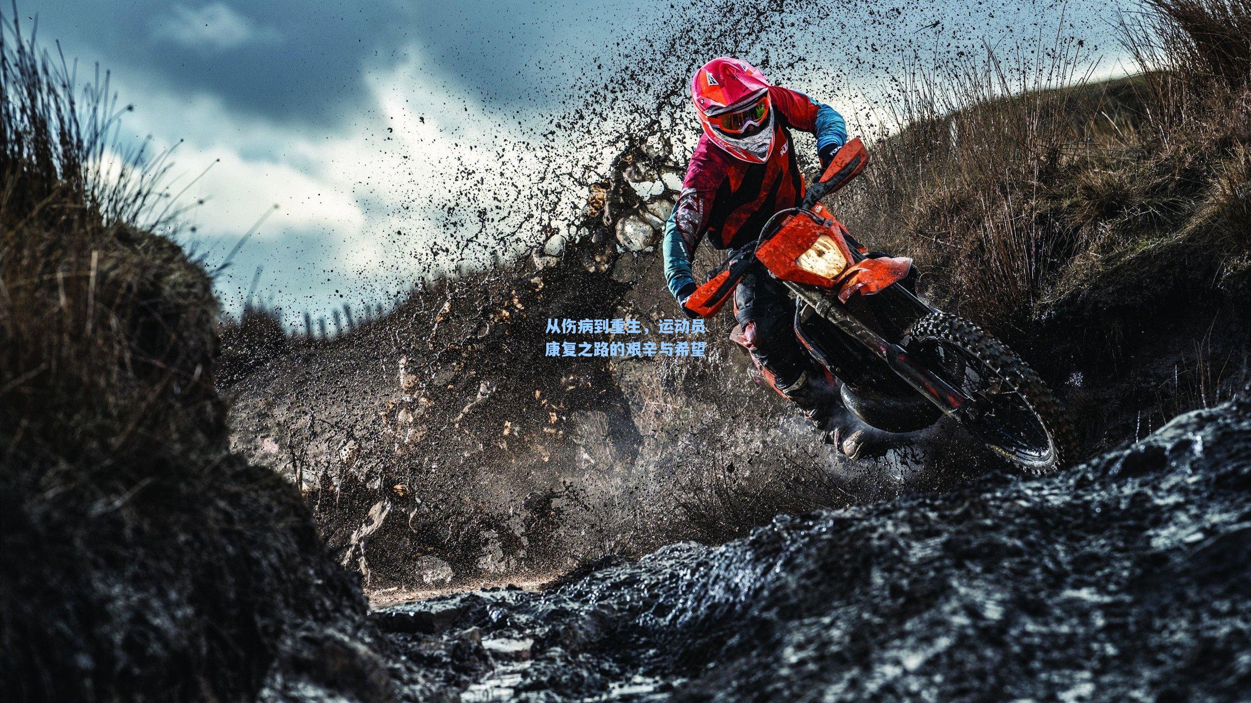 从伤病到重生,运动员康复之路的艰辛与希望
